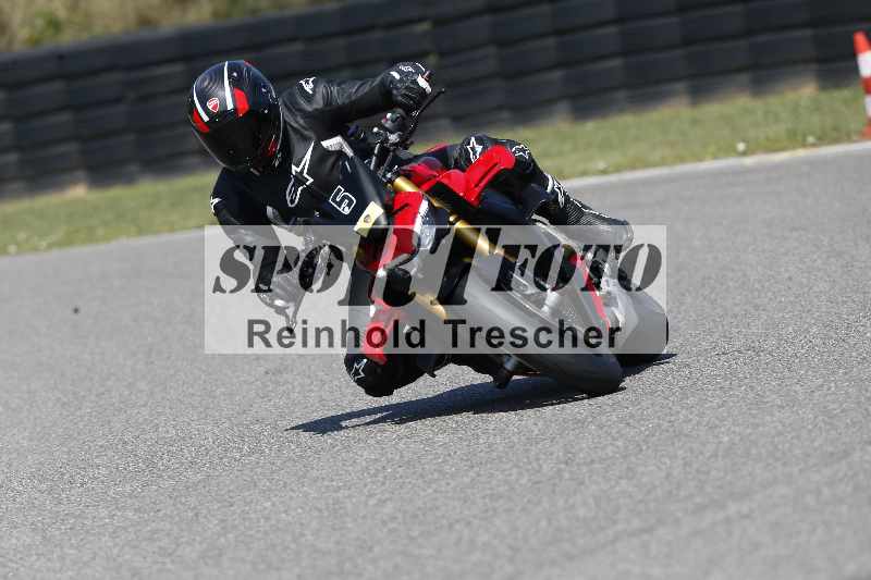 /46 11.08.2025 PADDYS-RACES-DAYS ADR/Sport-Profi/5